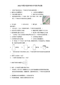 2022年四川省泸州市中考化学试卷（包含答案解析）