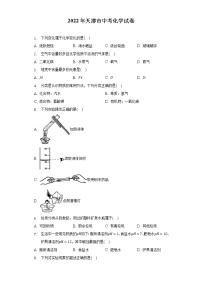 2022年天津市中考化学真题 (word版含答案)