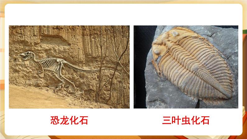 科粤版化学九上 5.4 古生物的“遗产”—化石燃料 课件PPT+教案+视频素材07