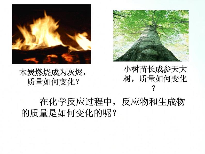 鲁教版化学九年级上册 5.1 化学反应中的质量守恒 课件+视频素材02