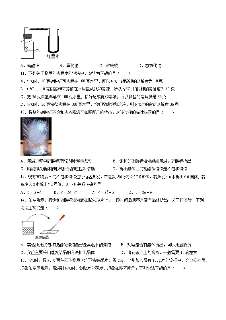 沪教上海版化学九上 3.2.1 溶液和溶解度（练习1） 练习题 (原卷+解析卷)02