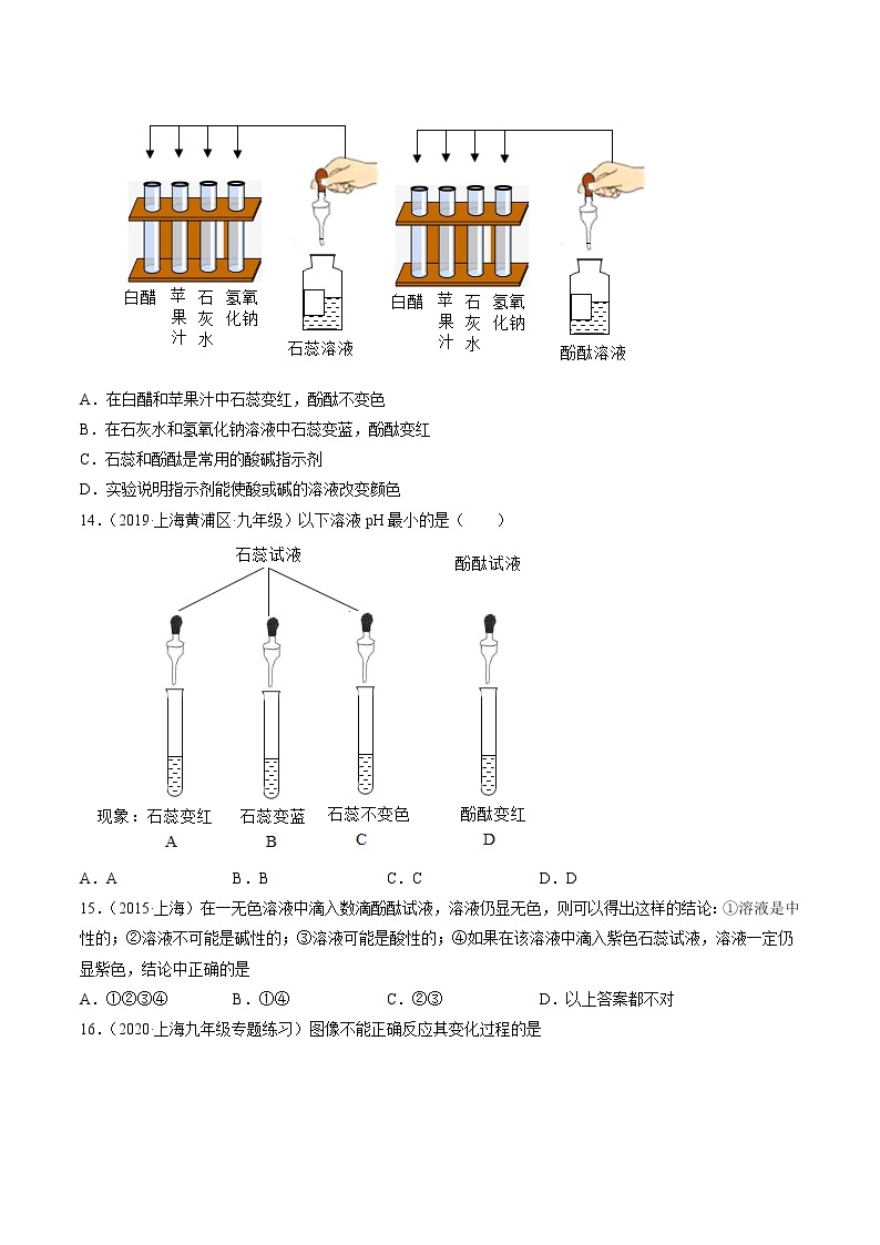 沪教上海版化学九上 3.3溶液的酸碱性 练习题 (原卷+解析卷)03