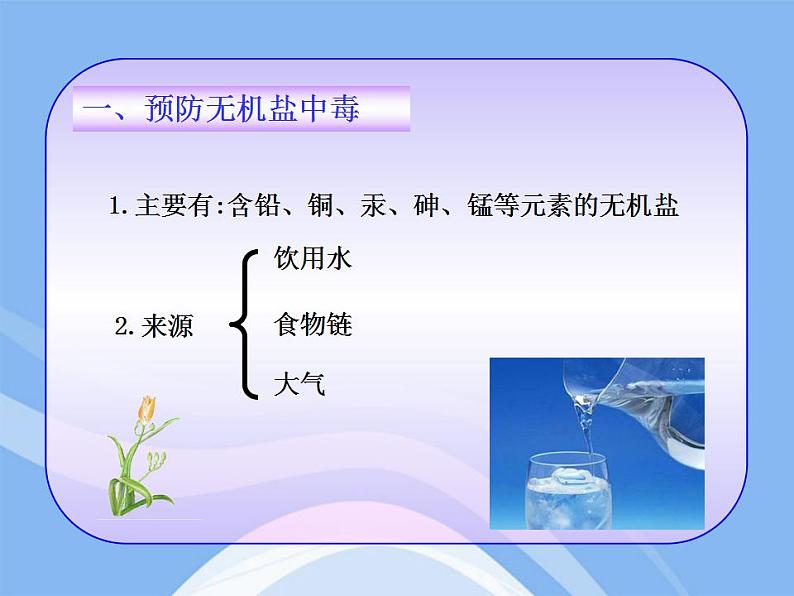 鲁教五四制初中化学九全《5.3 远离有毒物质》PPT课件 (1)第2页