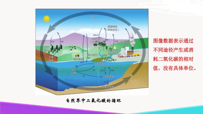 6.3《大自然中的二氧化碳》精品课件  第一课时-九年级化学上册 课件 鲁教版05