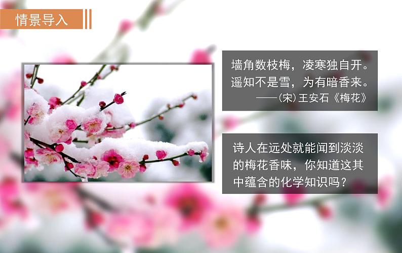第1课时 物质由微观粒子构成第2页