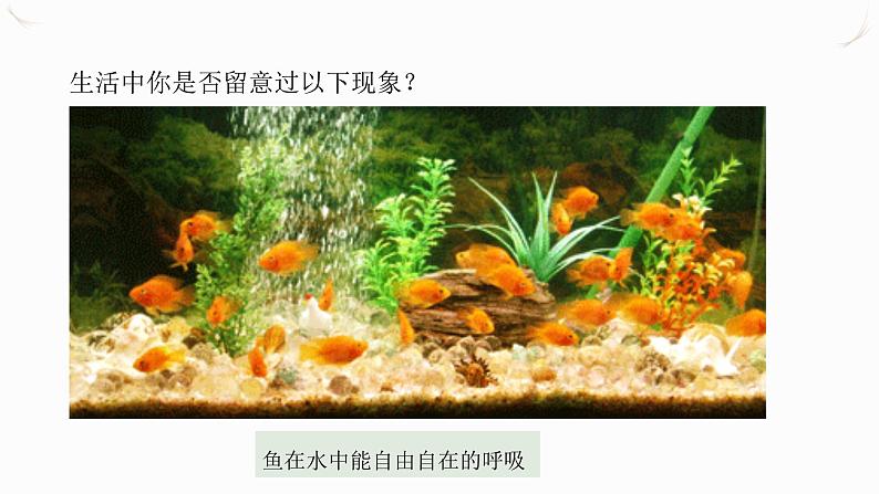 2.2《氧气》课件+教案+练习+学案02