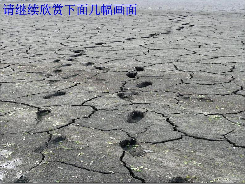 京改版九年级上册化学 4.3 水资源的开发、利用和保护 课件第5页