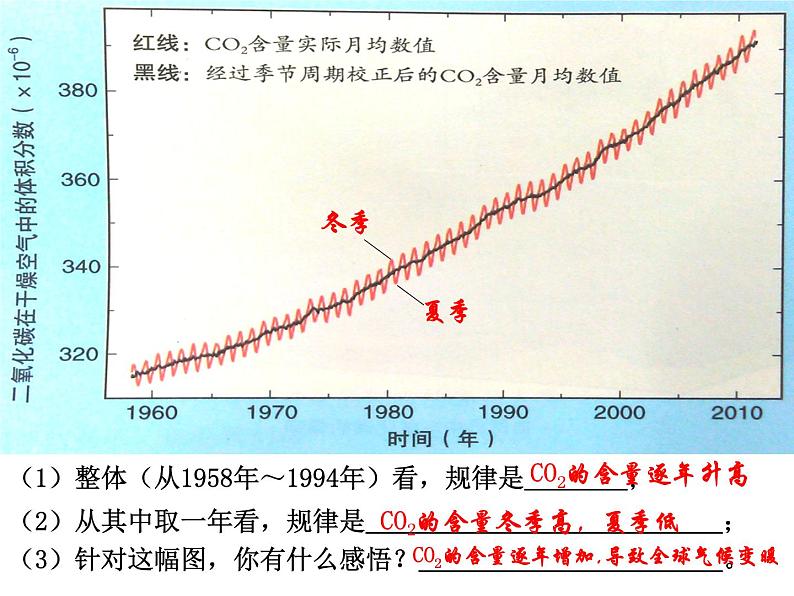 鲁教版九年级上册化学 6.3 大自然中的二氧化碳 课件第2页