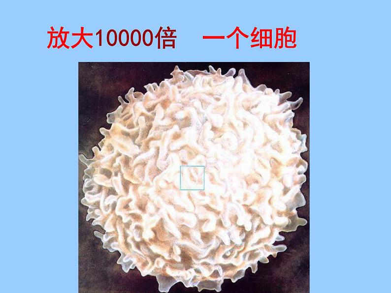 人教版九年级上册化学 3.1 分子和原子 课件第5页