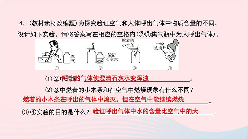 化学人教版九年级上册同步教学课件第1单元 走进化学世界 课题2 化学是一门以实验为基础的科学07