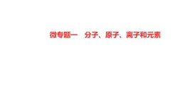 微专题一　分子、原子、离子和元素 课件  2022-2023 鲁教版 化学 八年级