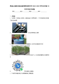 黑龙江省哈尔滨市香坊区风华中学2022-2023学年九年级10月月考化学试题(含答案)