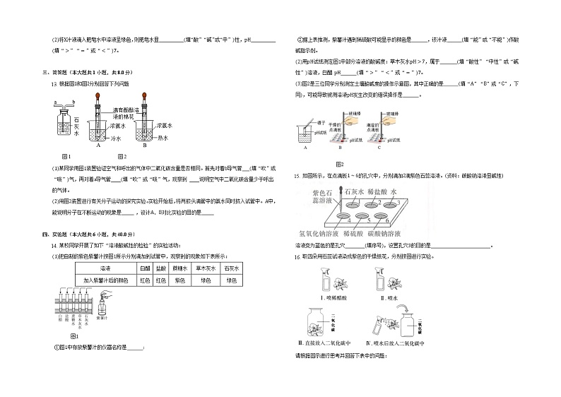 2022人教版九年级化学下册第十单元实验活动7溶液酸碱性的检验带答案和解析02