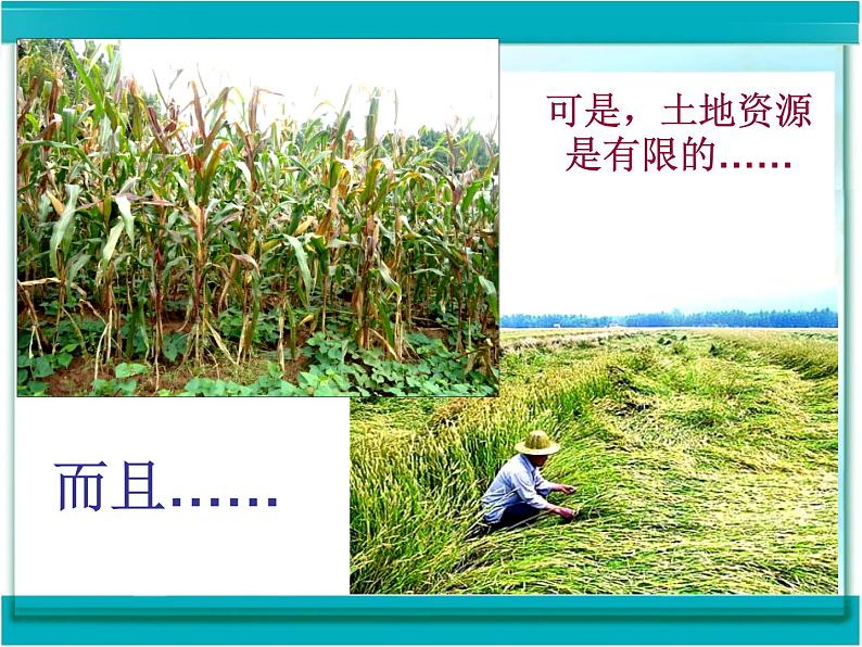 2020一2021学年人教版九年级化学新课课件 第十一单元 盐 化肥 课题2 化学肥料02