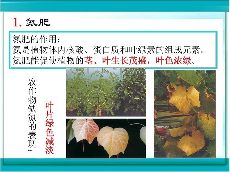 2020一2021学年人教版九年级化学新课课件 第十一单元 盐 化肥 课题2 化学肥料05