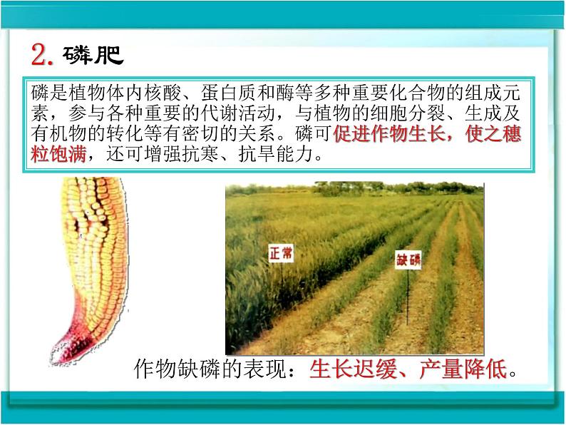 2020一2021学年人教版九年级化学新课课件 第十一单元 盐 化肥 课题2 化学肥料07