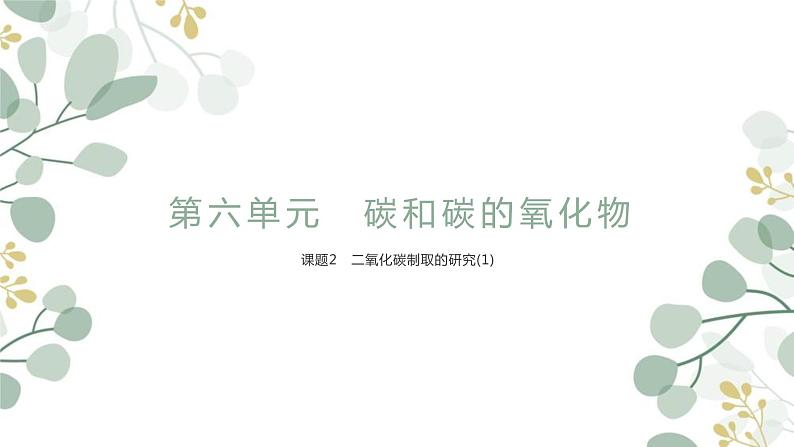 人教版初中化学九年级上册 6.2二氧化碳制取的研究课时1 课件第1页