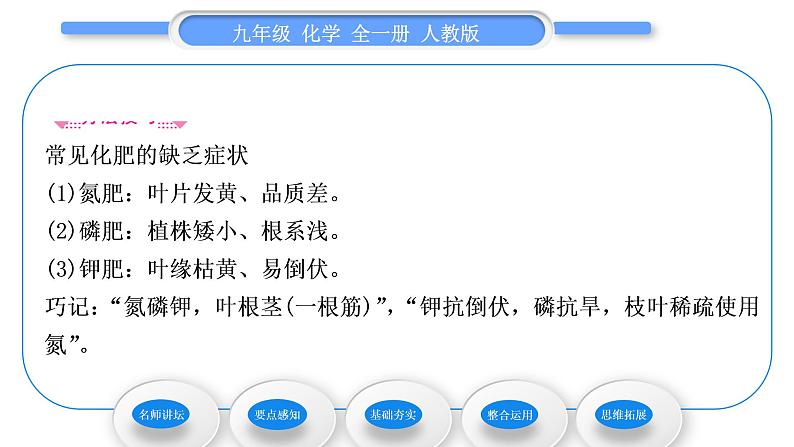 人教版九年级化学第十一单元盐 化肥课题2化学肥料习题课件05