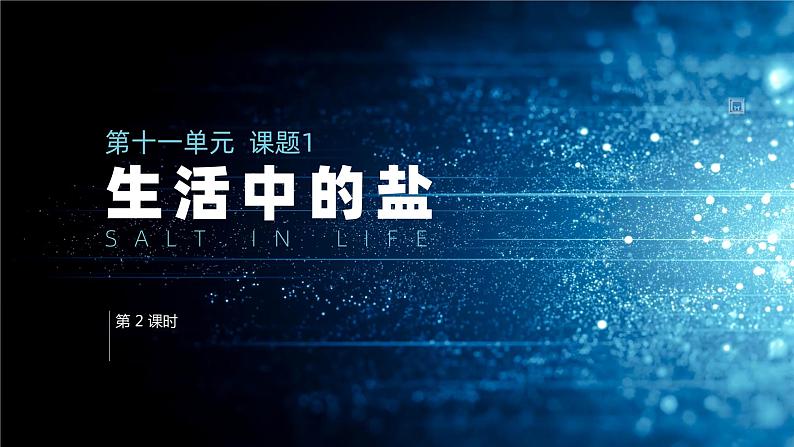 11.1. 2《 生活中常见的盐》(第2课时)课件 九下化学(人教版)01