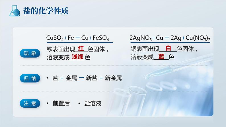 11.1. 2《 生活中常见的盐》(第2课时)课件 九下化学(人教版)08