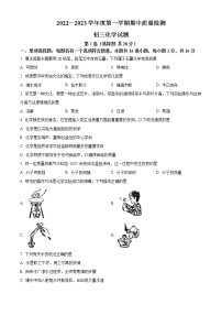 山东省青岛莱西市2022-2023学年八年级上学期期中化学试题(含答案)