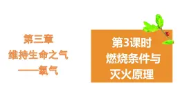 3.3燃烧条件与灭火原理  课件 -2022-2023学年九年级化学科粤版上册