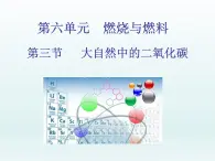 2022九年级化学上册第六单元燃烧与燃料第三节大自然中的二氧化碳课件（鲁教版）