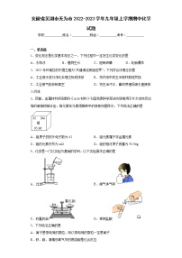 安徽省芜湖市无为市2022-2023学年九年级上学期期中化学试题(含答案)