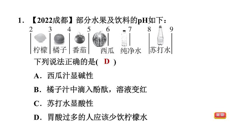 中考化学复习第9课时酸和碱(一)课后练课件03
