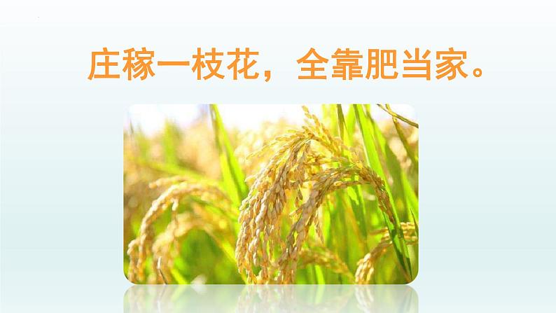 第十一单元课题2 第一课时 化肥简介课件—九年级化学人教版下册03