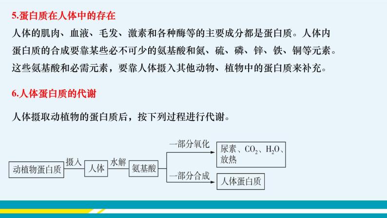 8.3 蛋白质 维生素 课件PPT+教案+练习07