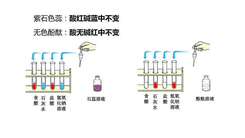 人教版初中化学九年级下册第十单元 课题1 常见的酸和碱 课件01