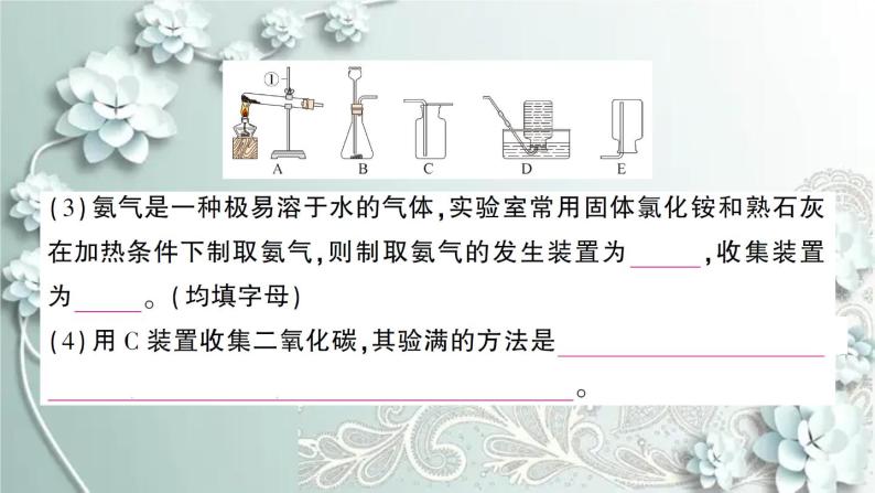 人教版化学九年级上册 课题2 二氧化碳制取的研究 课件05