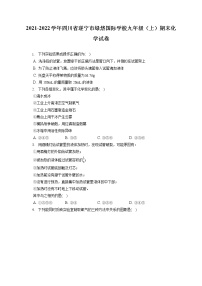 2021-2022学年四川省遂宁市绿然国际学校九年级（上）期末化学试卷（含答案解析）
