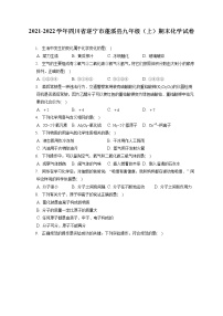 2021-2022学年四川省遂宁市蓬溪县九年级（上）期末化学试卷（含答案解析）
