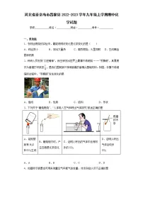 河北省秦皇岛市昌黎县2022-2023学年九年级上学期期中化学试题(含答案)