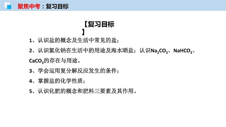 专题08 盐与化肥(考点精讲PPT版)-【满分之路】 中考化学一轮复习精讲精练(全国通用)第2页