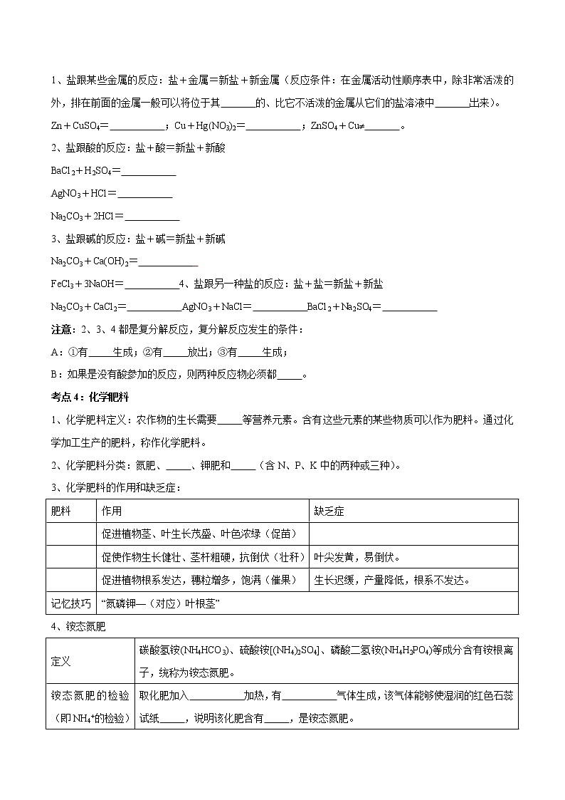 专题08 盐与化肥(考点精讲word版)-【满分之路】 中考化学一轮复习精讲精练(全国通用)(原卷版)第3页