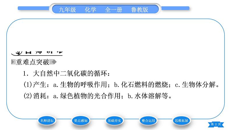 鲁教版九年级化学上第六单元燃烧与燃料第三节大自然中的二氧化碳习题课件第2页