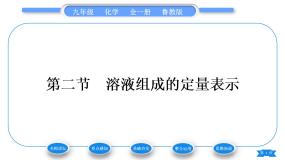 鲁教版九年级上册第二节 溶液组成的定量表示习题课件ppt