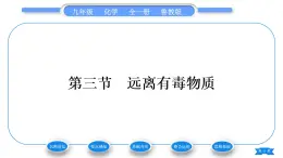 鲁教版九年级化学下第十单元化学与健康第三节远离有毒物质习题课件