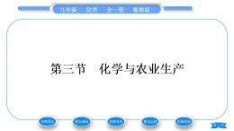 鲁教版九年级化学下第十一单元化学与社会发展第三节化学与农业生产习题课件