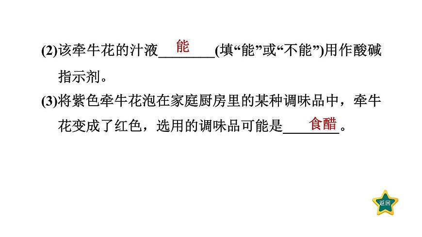 人教版九年級化學(xué)下冊第十單元實(shí)驗(yàn)活動7 溶液酸堿性的檢驗(yàn)課件第7頁