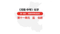 中考总复习化学（河南地区）11.第十一单元  盐  化肥课件