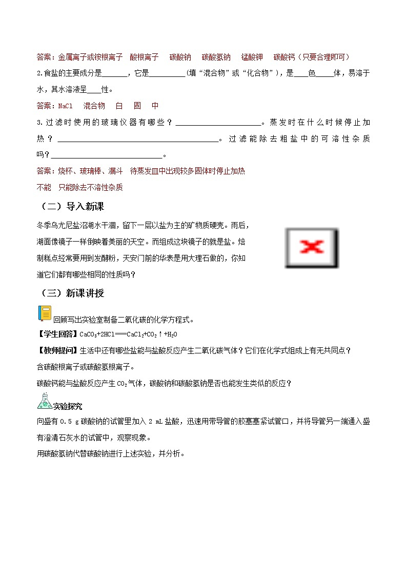 人教版化学九年级下册 11.1生活中常见的盐(第2课时) 教案第2页