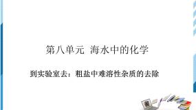 初中化学鲁教版九年级下册到实验室去：粗盐中难溶性杂质的去除精品ppt课件