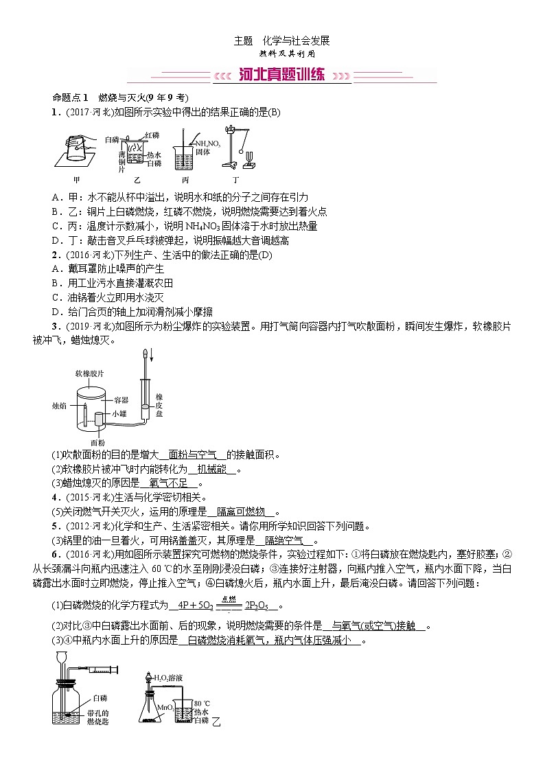 初中化学中考复习 2020中考备考化学考点讲练 燃料及其利用第1页