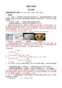 初中化学中考复习 2021年安徽省中考化学真题（解析版）