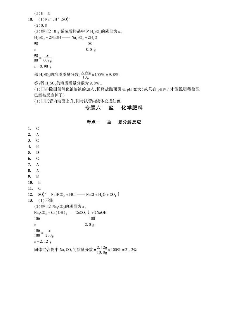 初中化学中考复习 2023化学中考集训:专题六 盐 化学肥料(PDF答案版)第1页