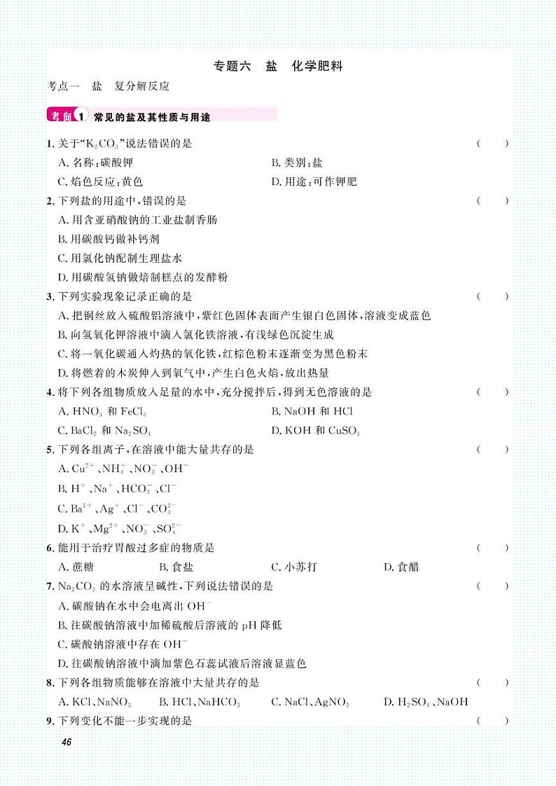 初中化学中考复习 2023化学中考集训:专题六 盐 化学肥料(PDF原卷版)第1页